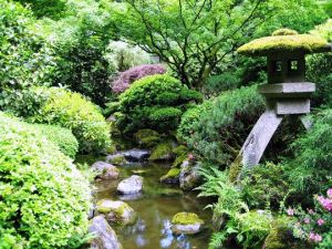 Luscious Japanese garden.jpg